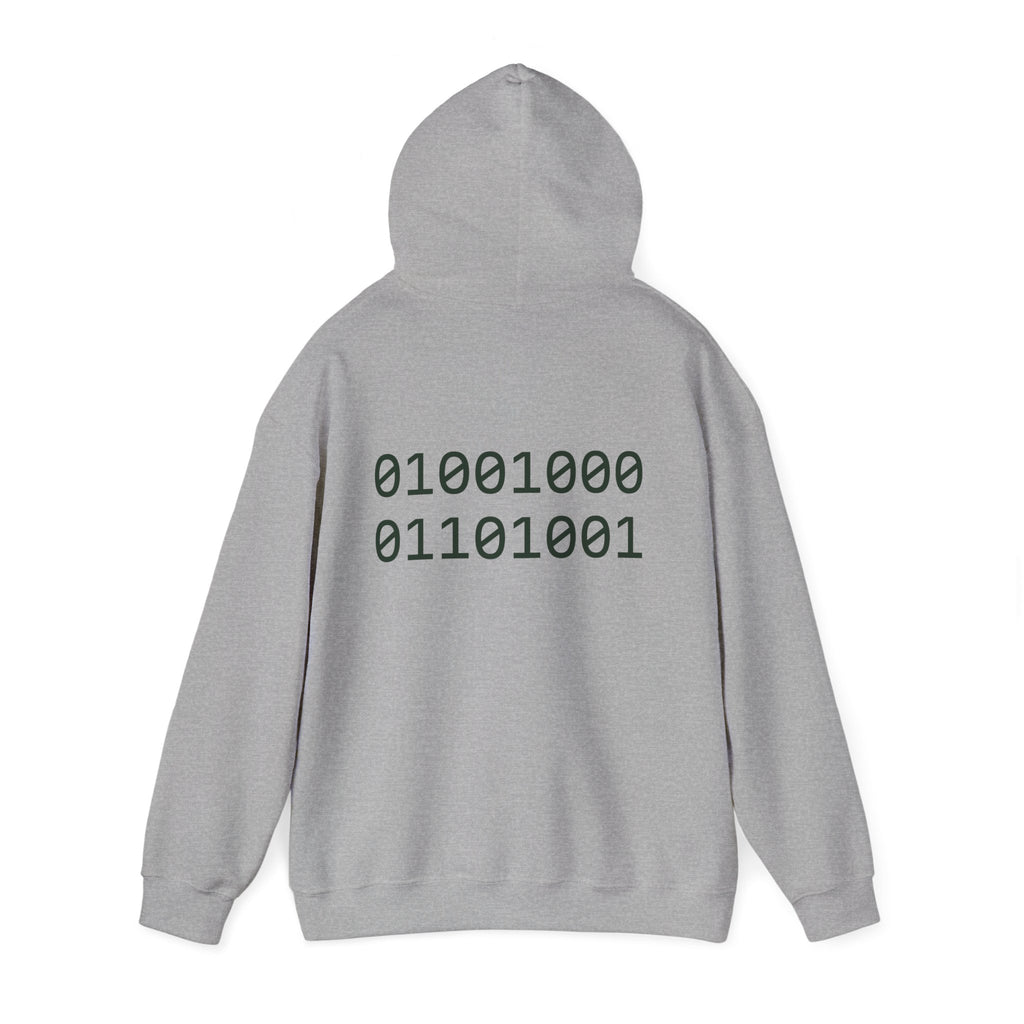 Pixel T-Rex Hoodie | Dinosaur with Rainbow Sweater, Binary Code Back