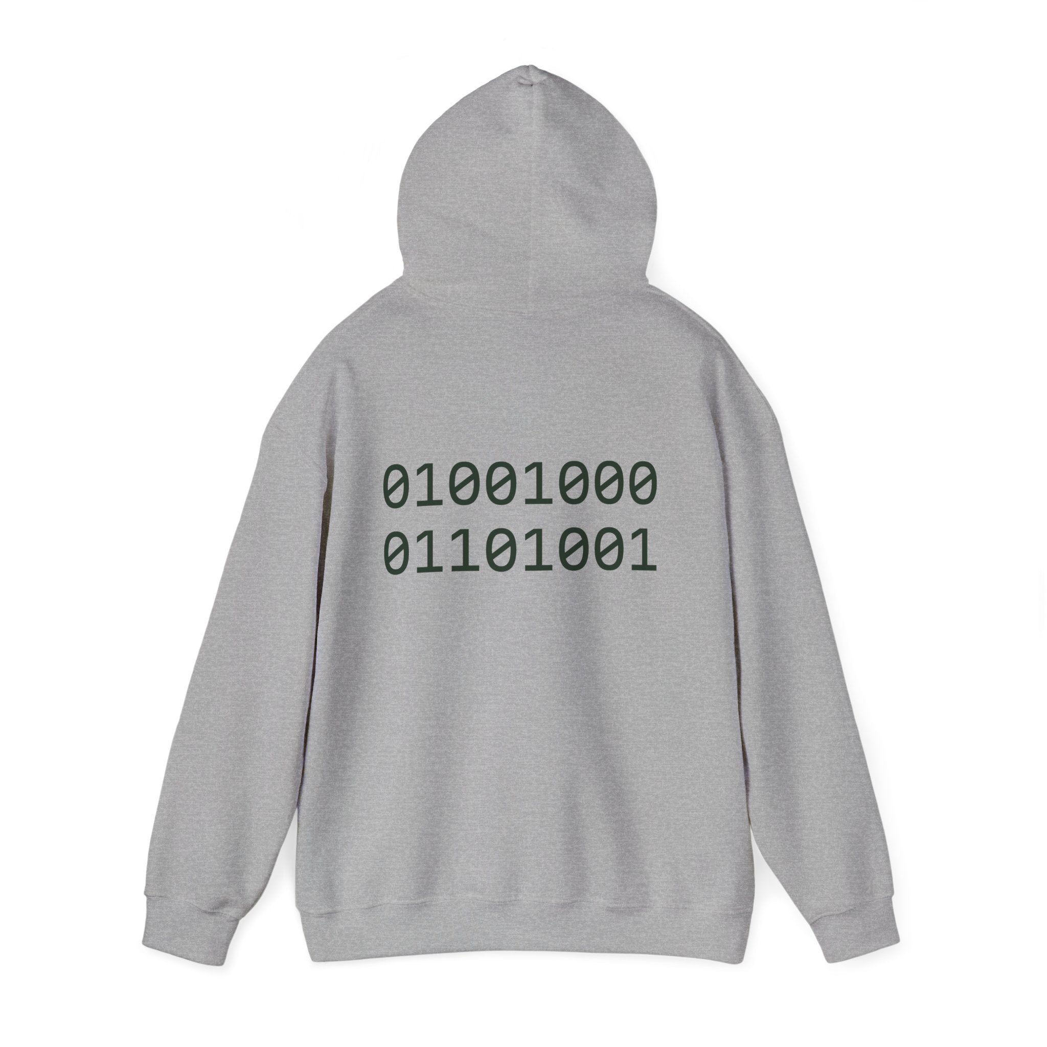 Pixel T-Rex Hoodie | Dinosaur with Rainbow Sweater, Binary Code Back