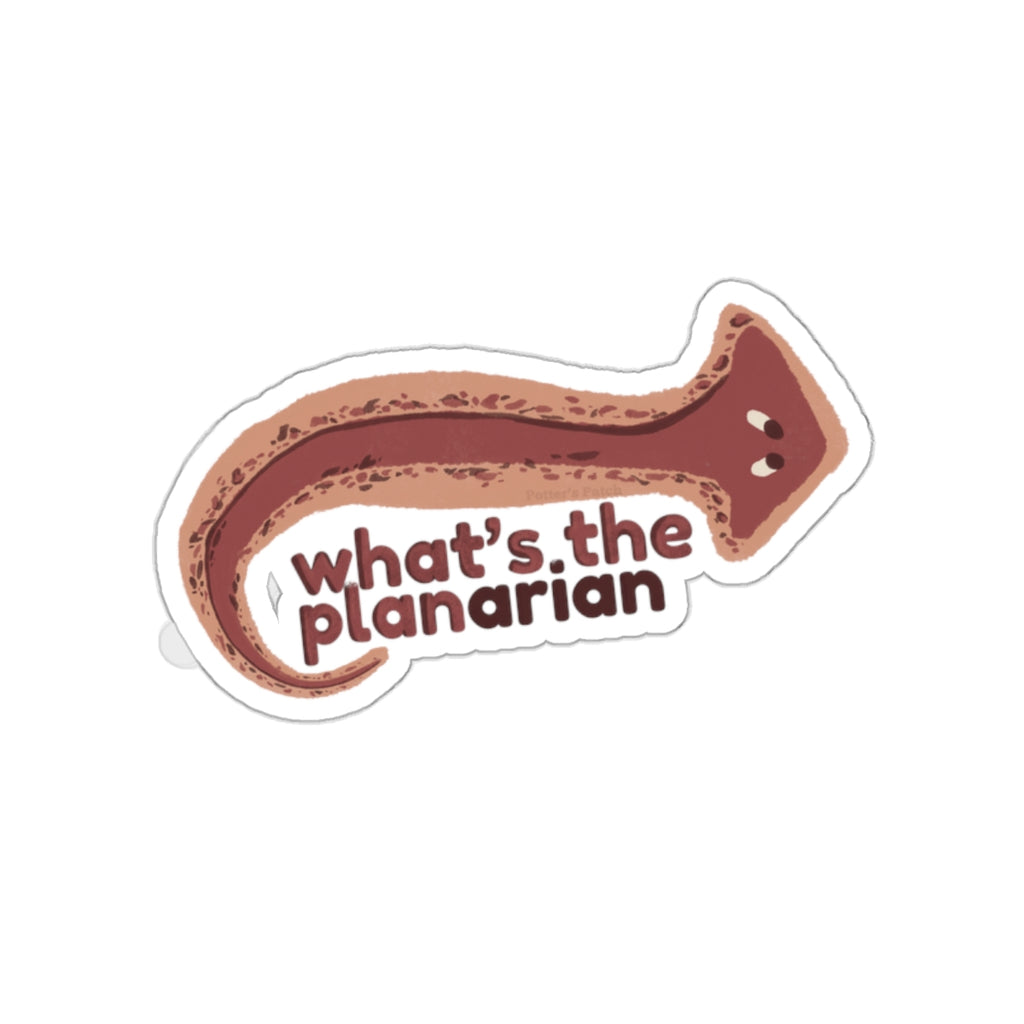 What's the Planarian Flatworm die-cut stickers | flatworm science sticker