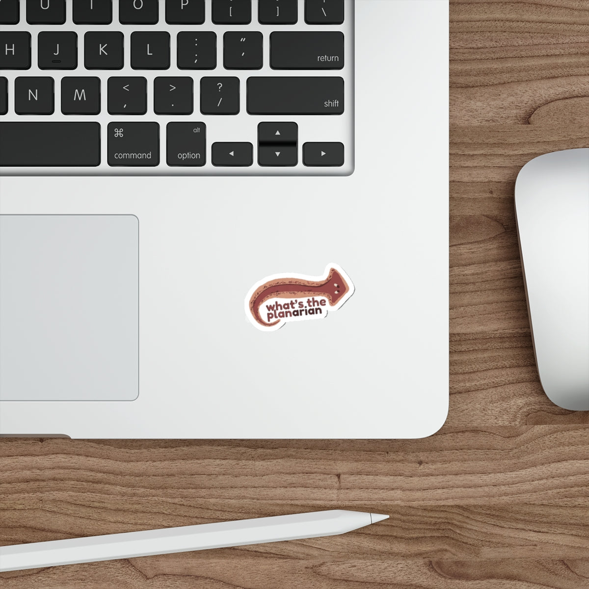 What's the Planarian Flatworm die-cut stickers | flatworm science sticker