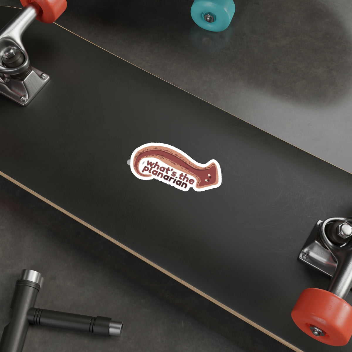 What's the Planarian Flatworm die-cut stickers | flatworm science sticker