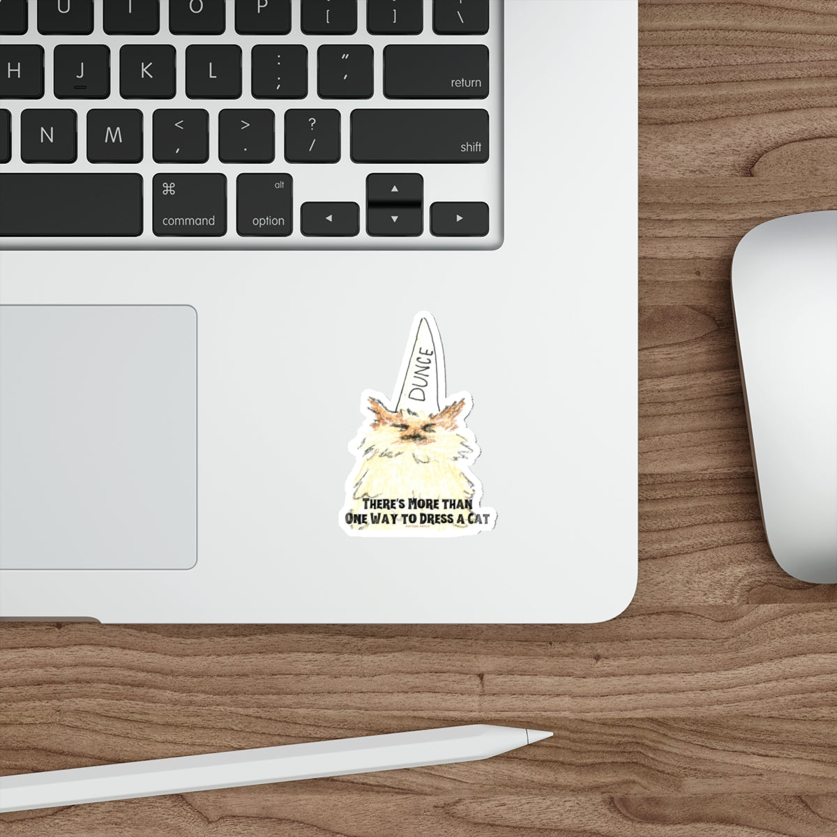 More Than One Way To Dress A Cat- Dunce Hat Ragdoll Cat Die-Cut Sticker