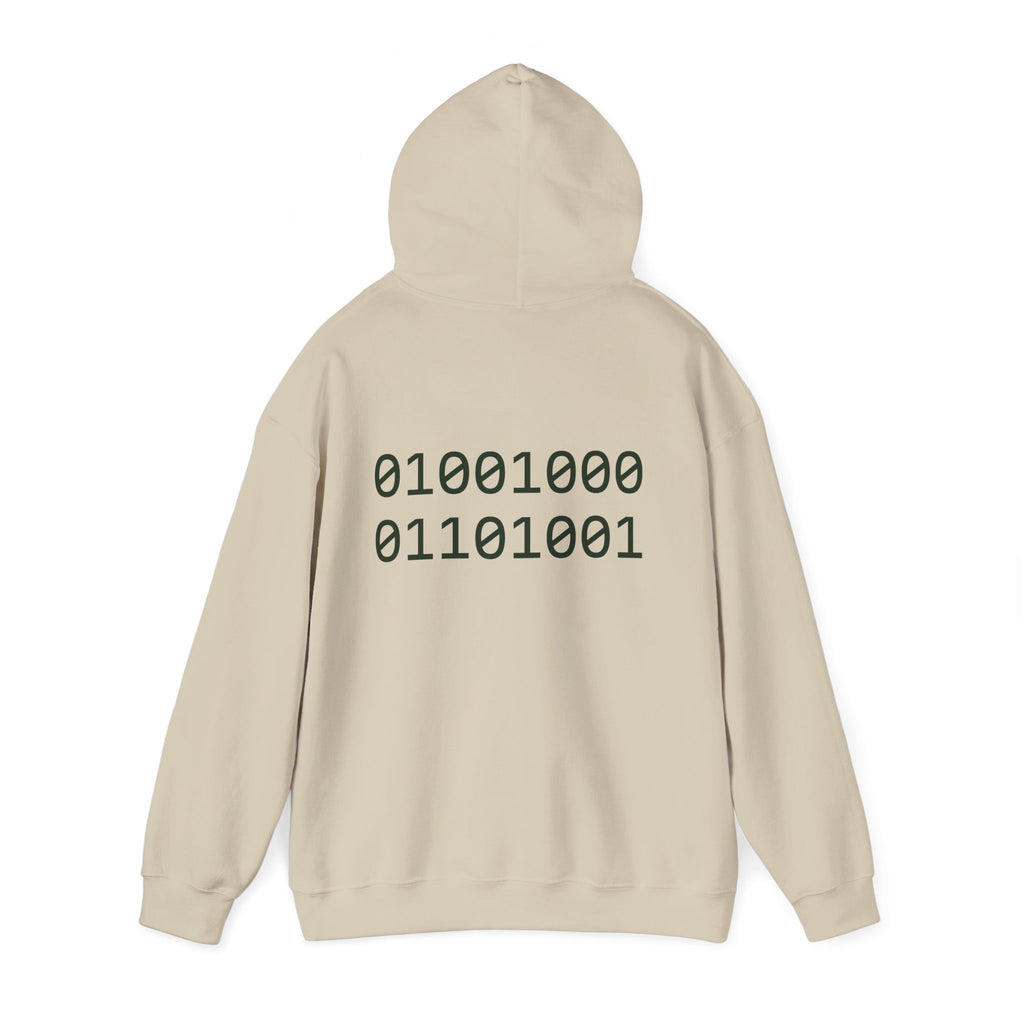 Pixel T-Rex Hoodie | Dinosaur with Rainbow Sweater, Binary Code Back