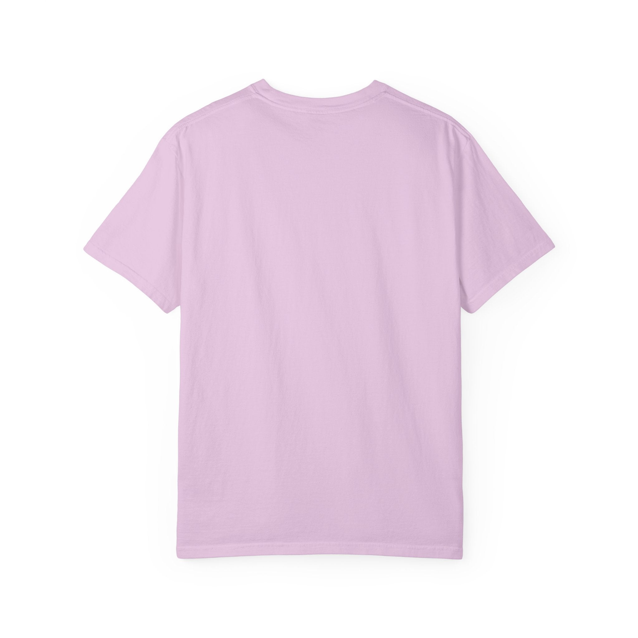 T-Shirt — Fluffy Cat Wearing 'Dunce' Cone Hat Illustrated Tee