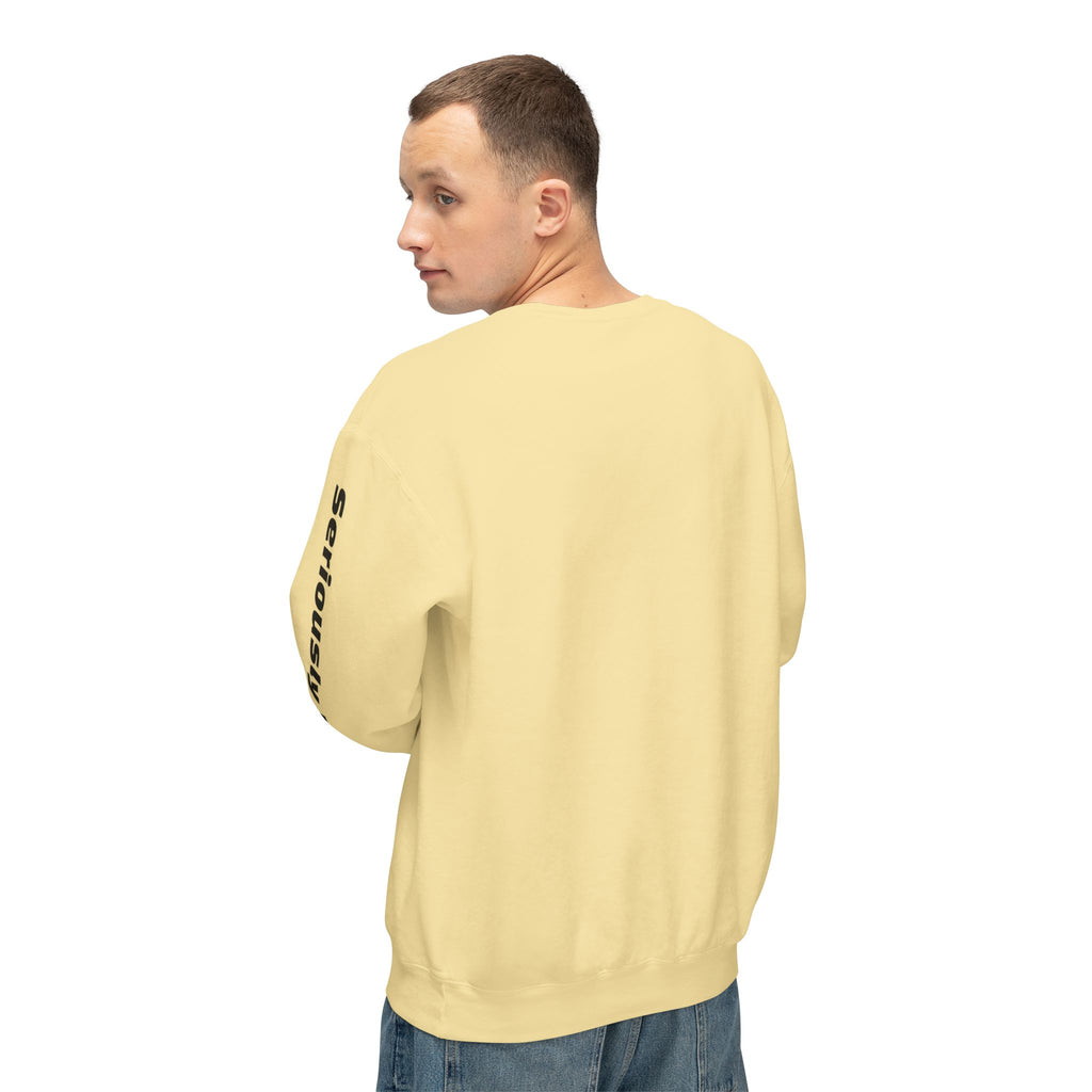 Colorful Pigeon Pinwheel Hat Illustration Sweatshirt | 'Curiously Unserious' Sleeve Text