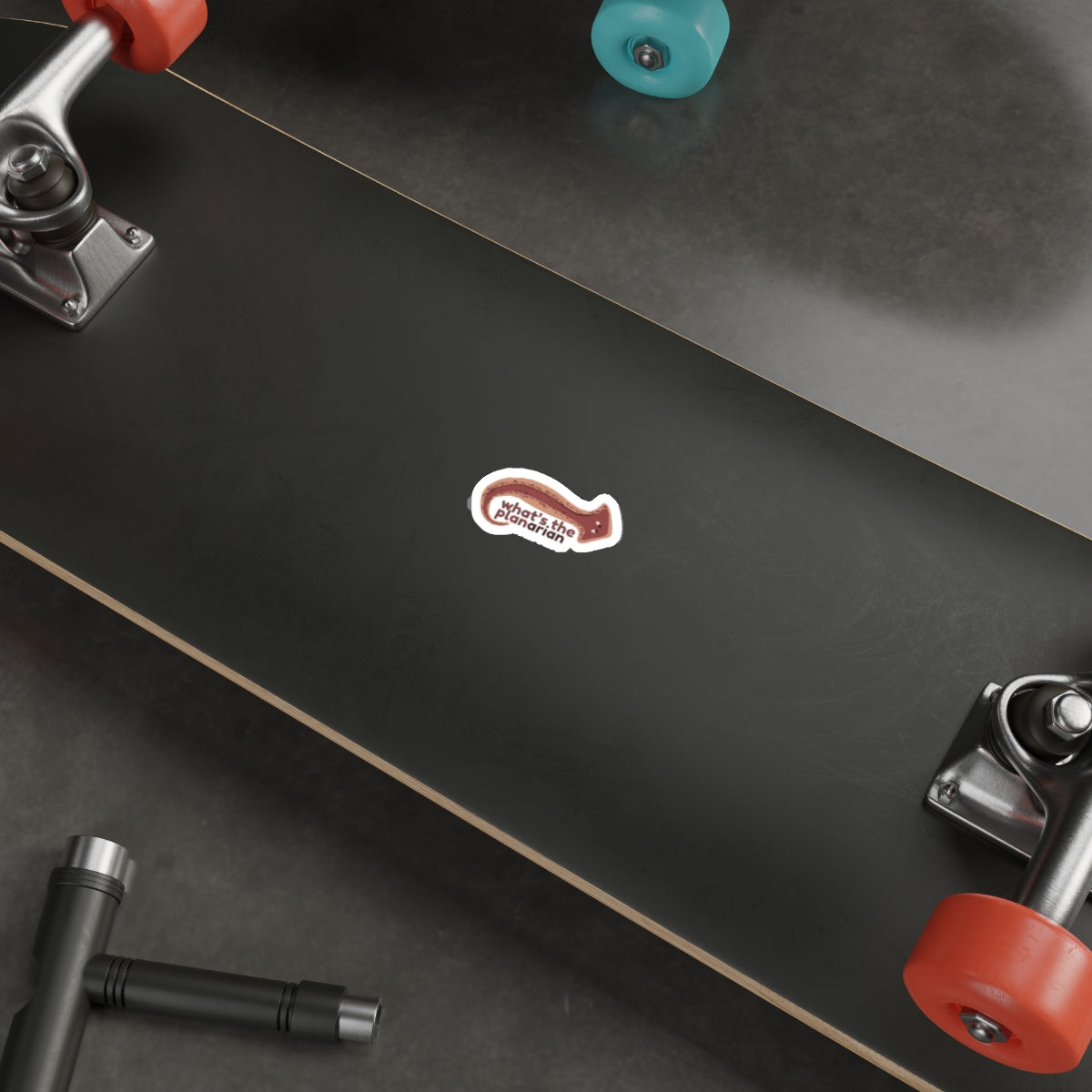 What's the Planarian Flatworm die-cut stickers | flatworm science sticker