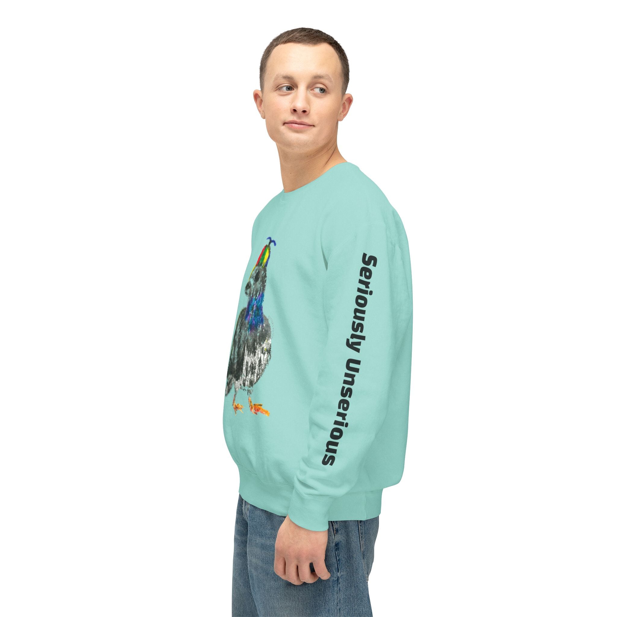 Colorful Pigeon Pinwheel Hat Illustration Sweatshirt | 'Curiously Unserious' Sleeve Text
