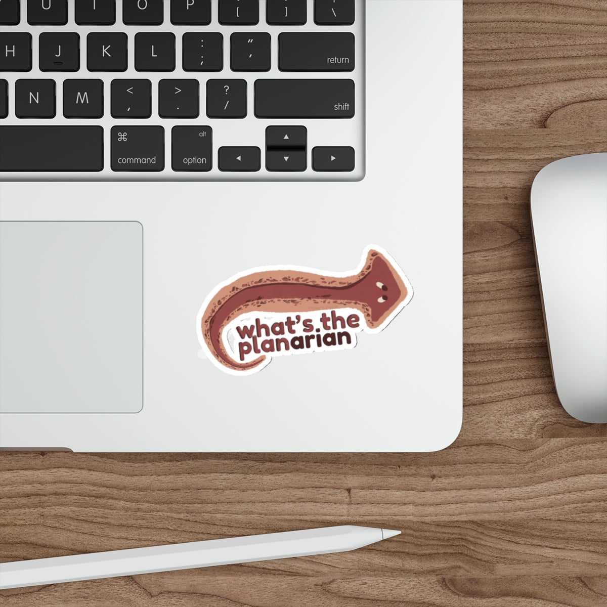 What's the Planarian Flatworm die-cut stickers | flatworm science sticker