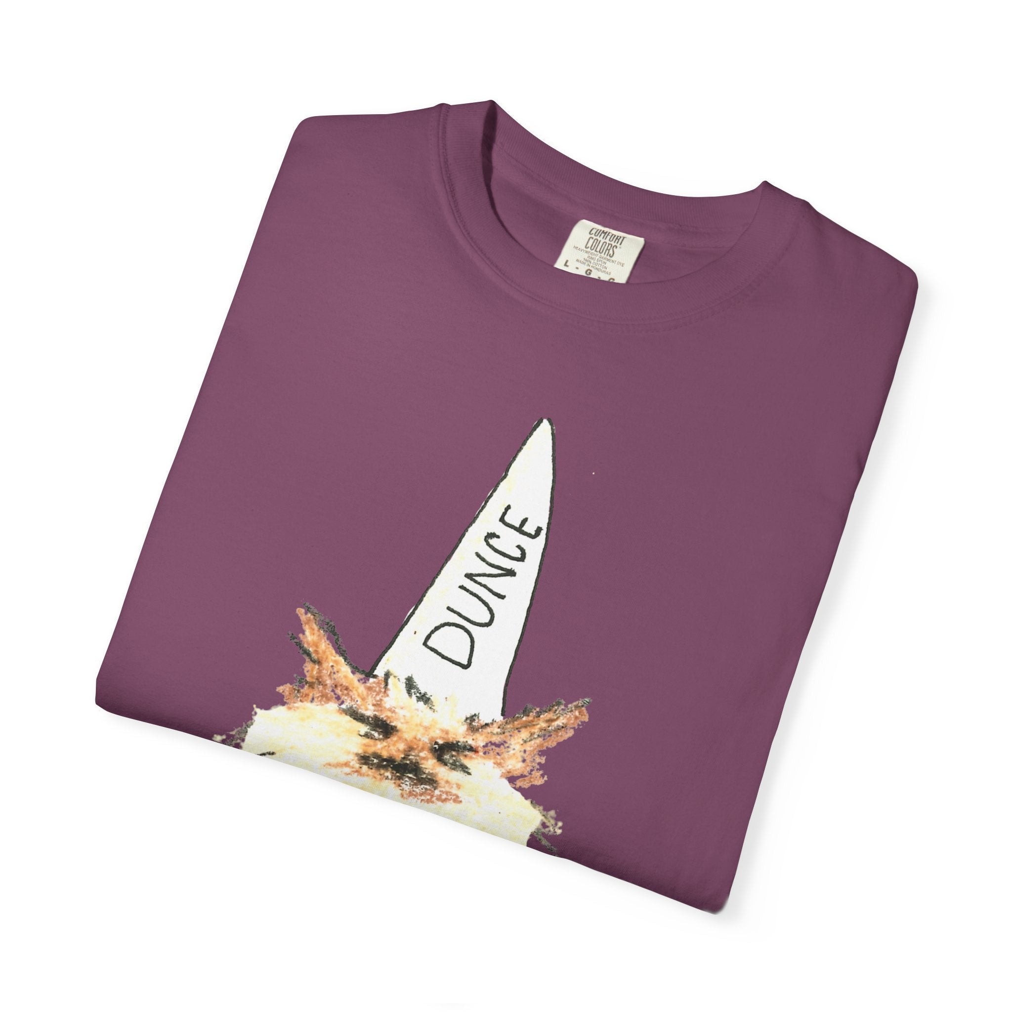 T-Shirt — Fluffy Cat Wearing 'Dunce' Cone Hat Illustrated Tee