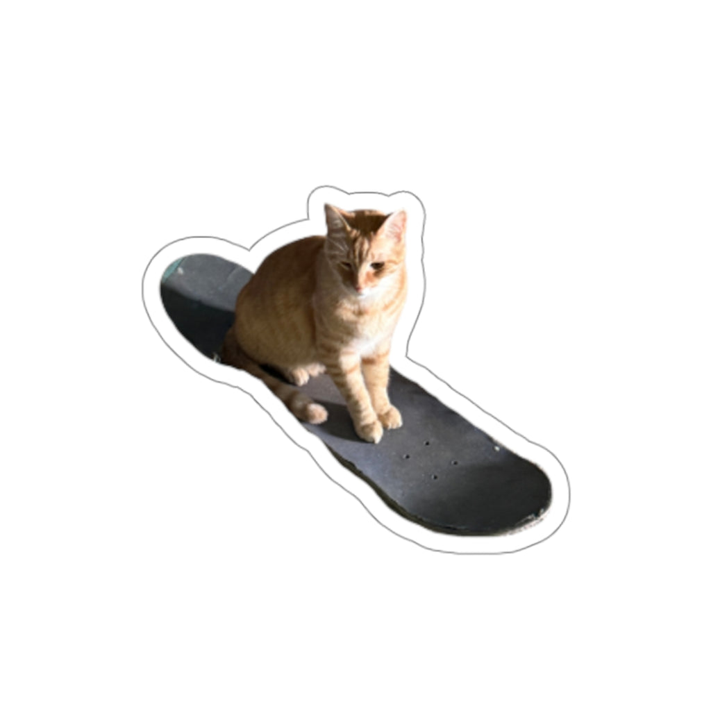 Orange Cat Skateboard Sticker – Gizmo Die-Cut Vinyl