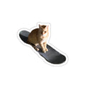 Orange Cat Skateboard Sticker – Gizmo Die-Cut Vinyl