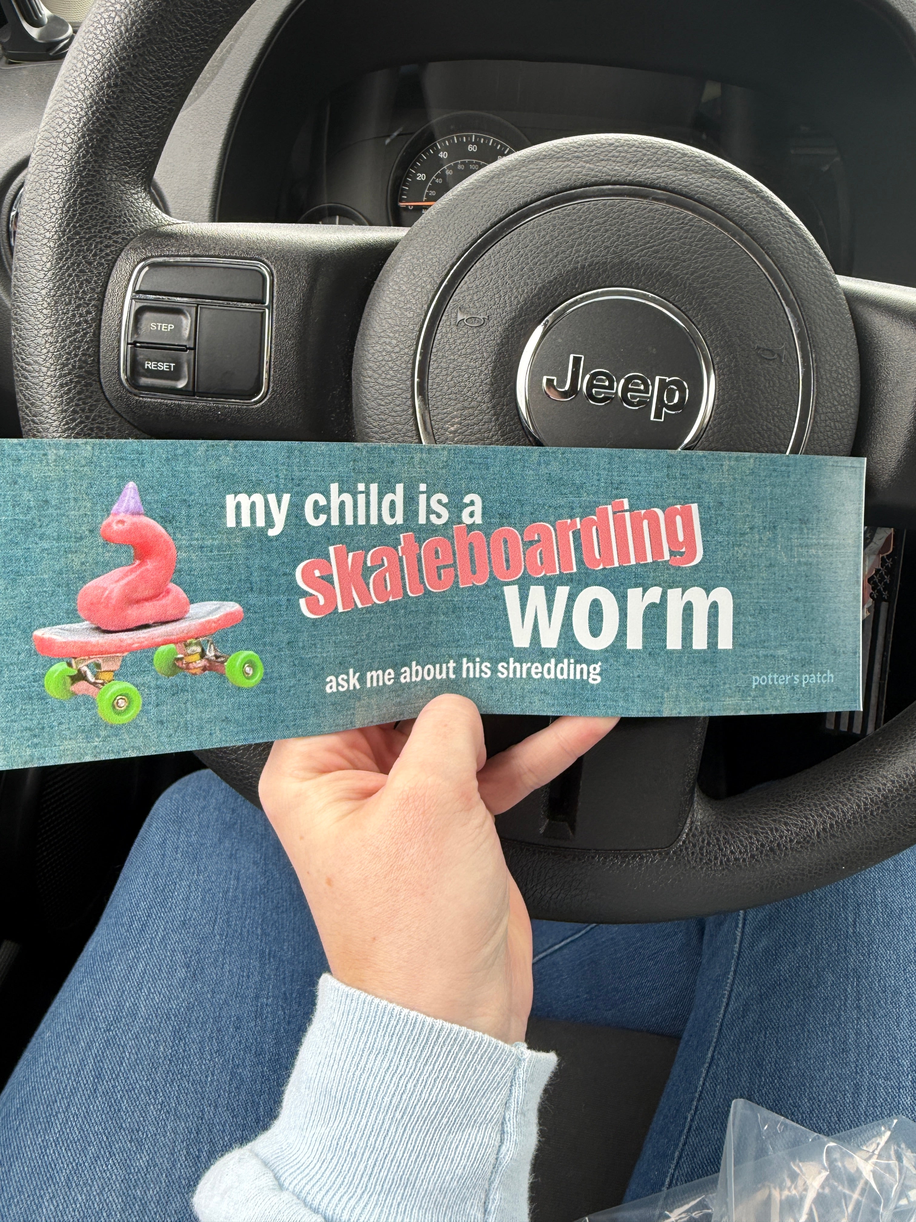 Skateboarding Worm Magnet Car Magnet | Worm on Skateboard with Party Hat, Humorous Quote