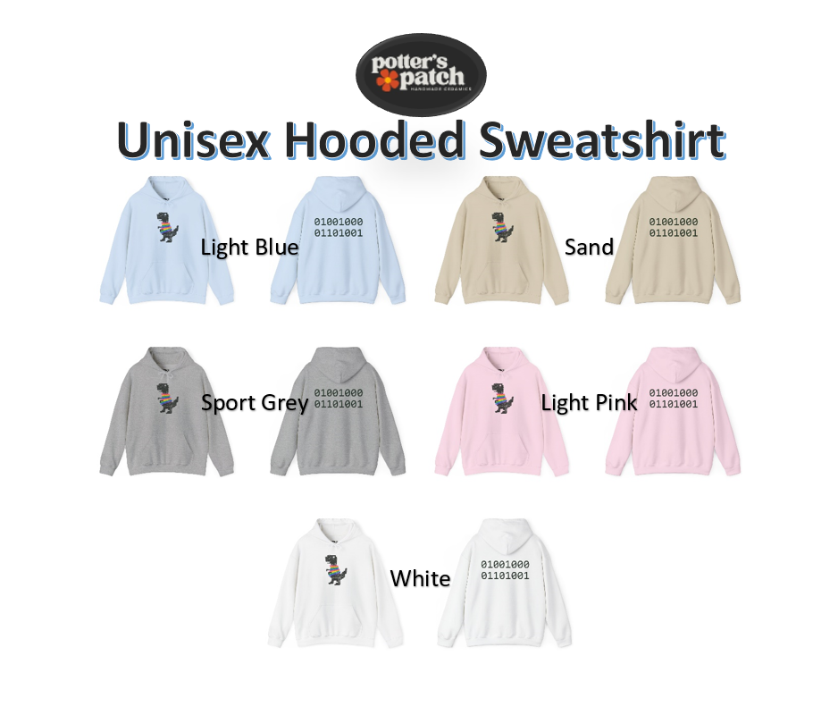 Pixel T-Rex Hoodie | Dinosaur with Rainbow Sweater, Binary Code Back "Hi"