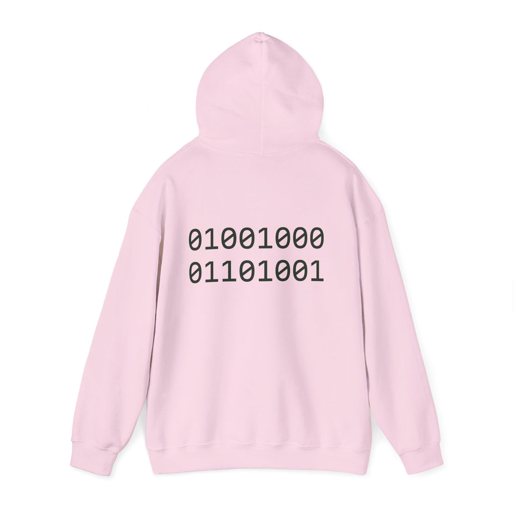 Pixel T-Rex Hoodie | Dinosaur with Rainbow Sweater, Binary Code Back