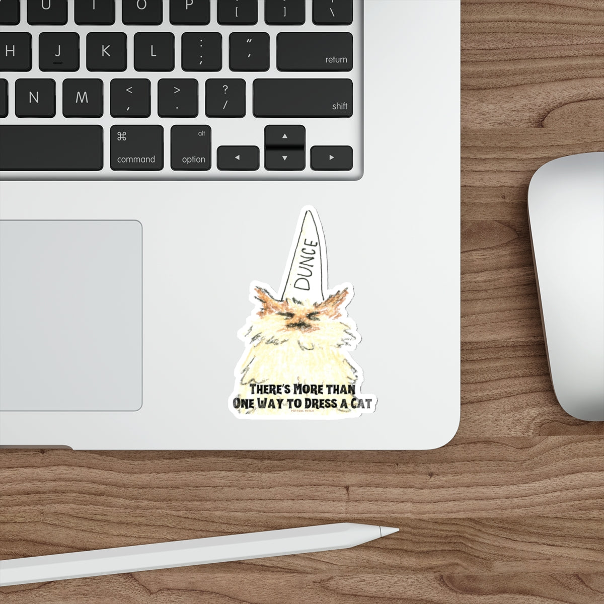 More Than One Way To Dress A Cat- Dunce Hat Ragdoll Cat Die-Cut Sticker