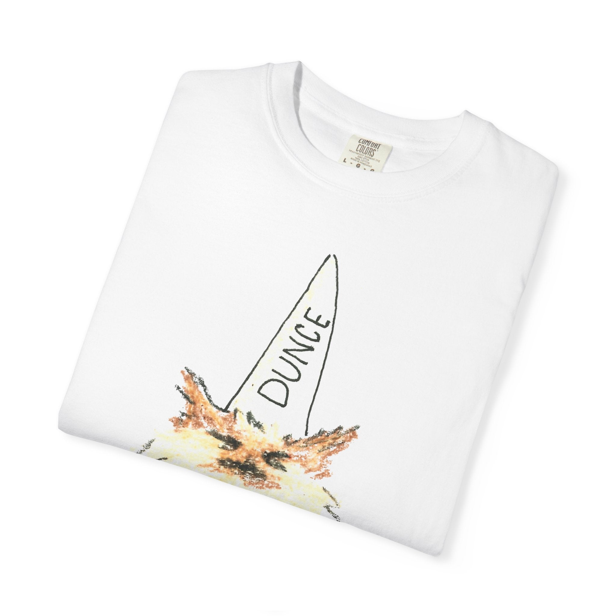 T-Shirt — Fluffy Cat Wearing 'Dunce' Cone Hat Illustrated Tee