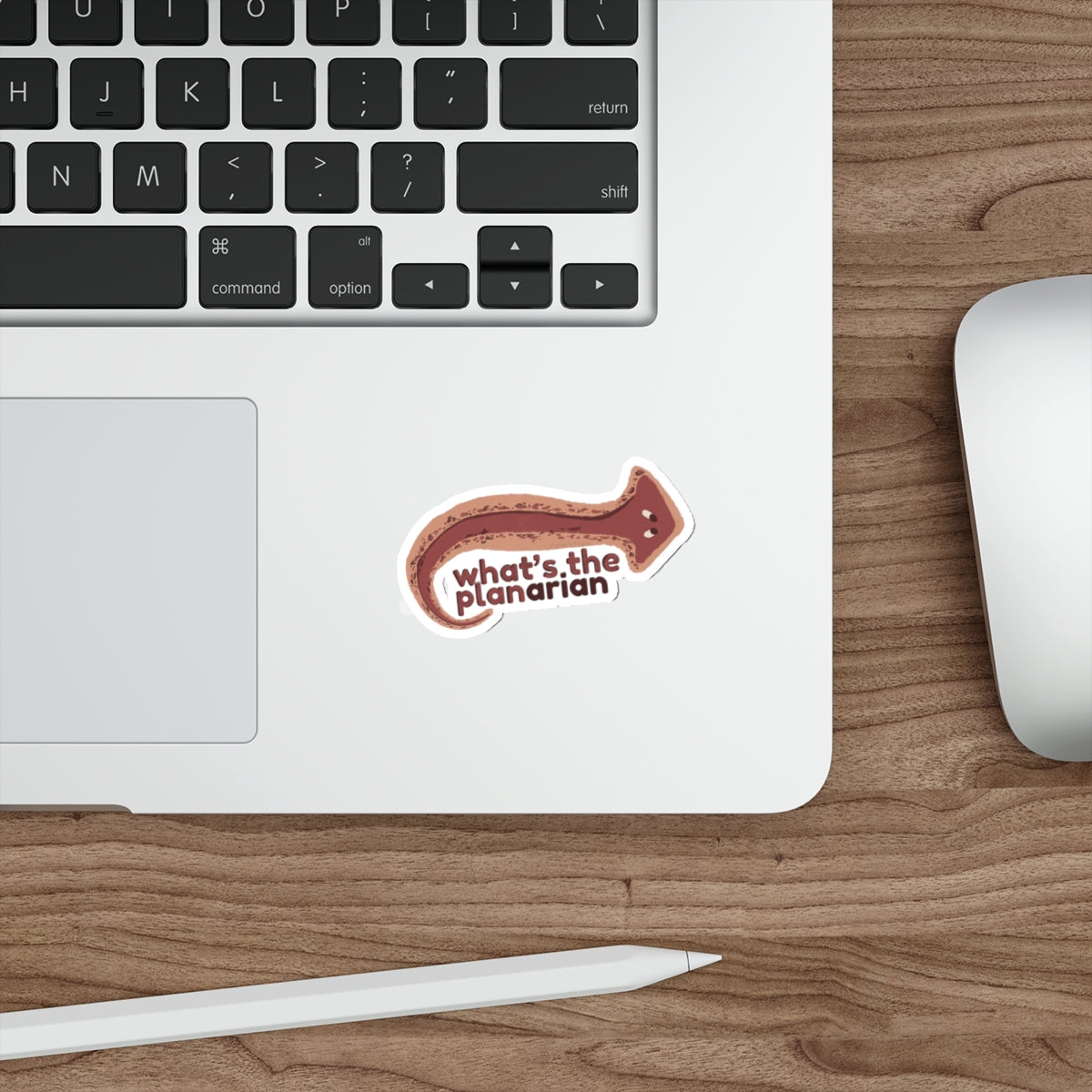 What's the Planarian Flatworm die-cut stickers | flatworm science sticker