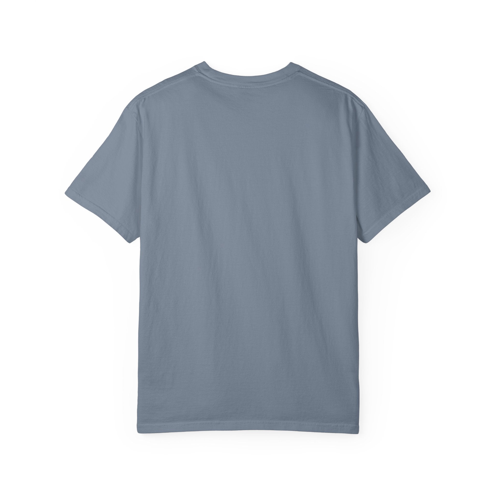 T-Shirt — Fluffy Cat Wearing 'Dunce' Cone Hat Illustrated Tee