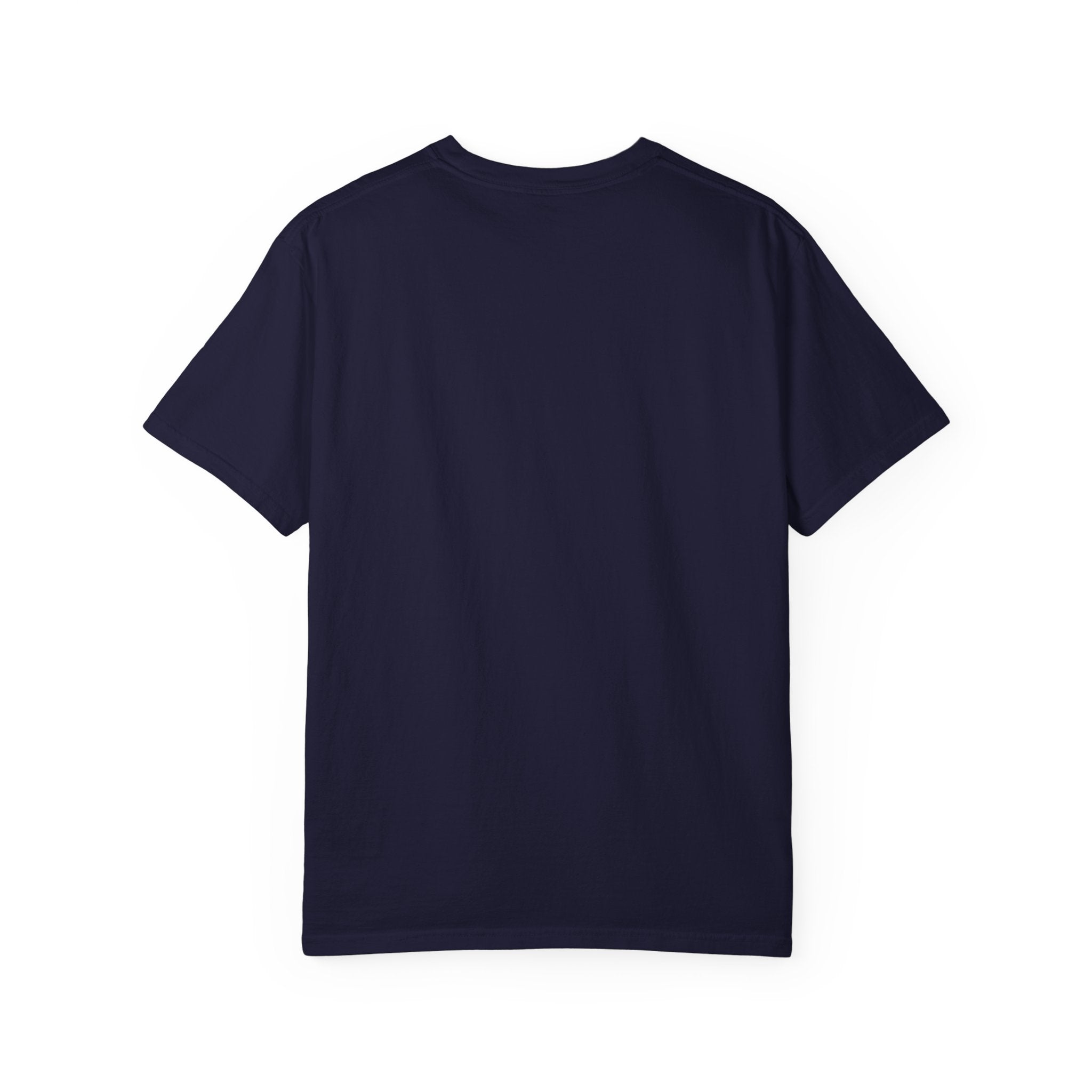 T-Shirt — Fluffy Cat Wearing 'Dunce' Cone Hat Illustrated Tee