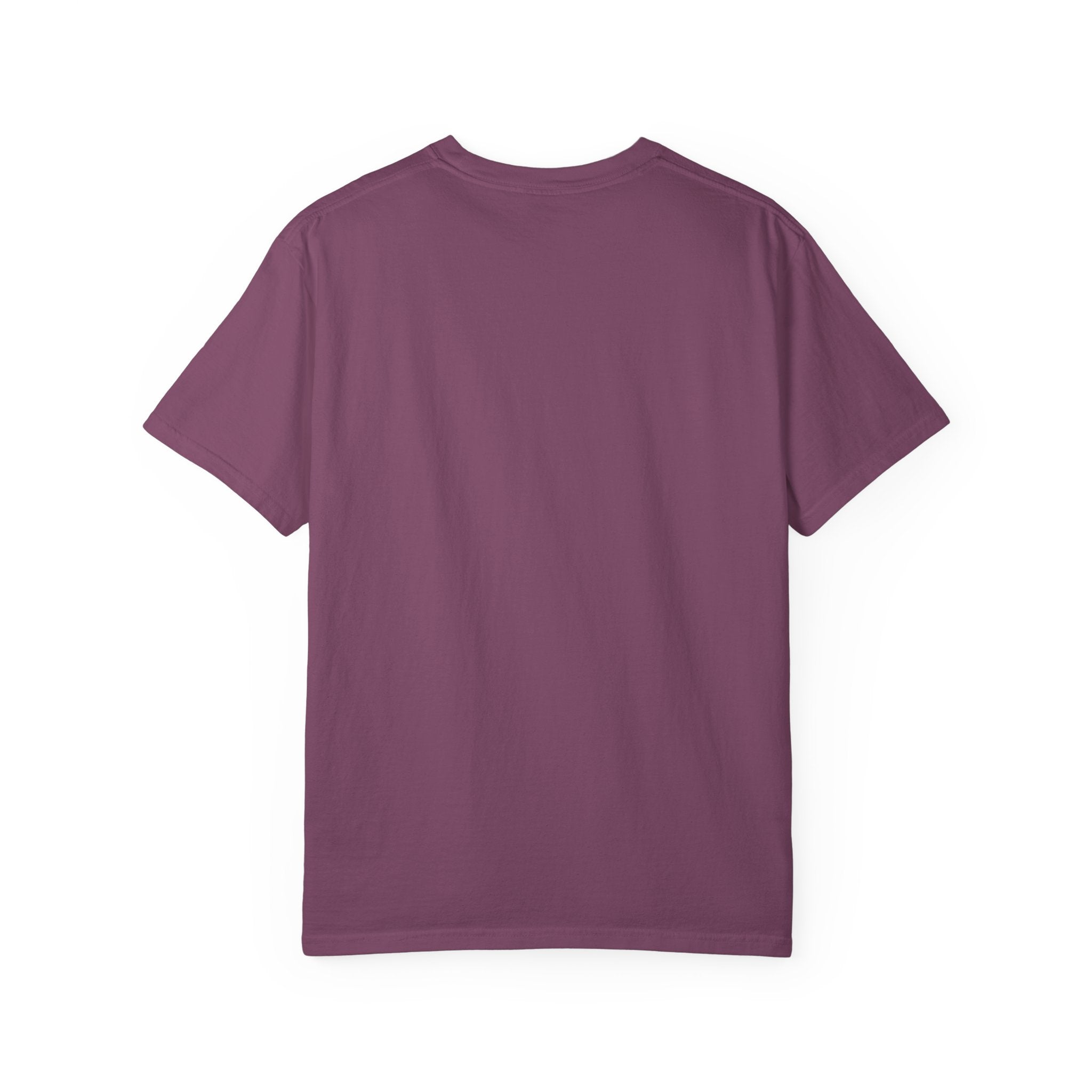 T-Shirt — Fluffy Cat Wearing 'Dunce' Cone Hat Illustrated Tee