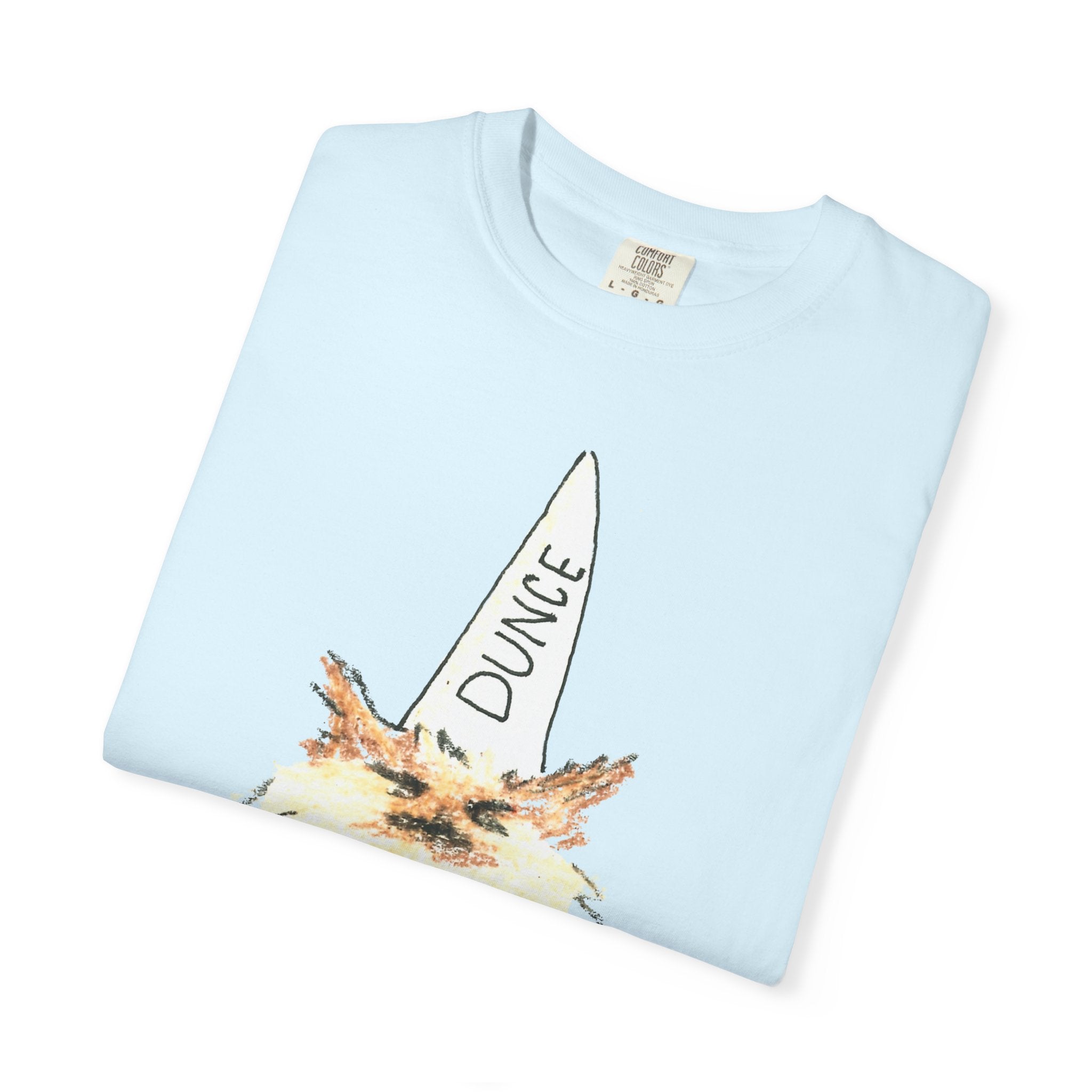 T-Shirt — Fluffy Cat Wearing 'Dunce' Cone Hat Illustrated Tee