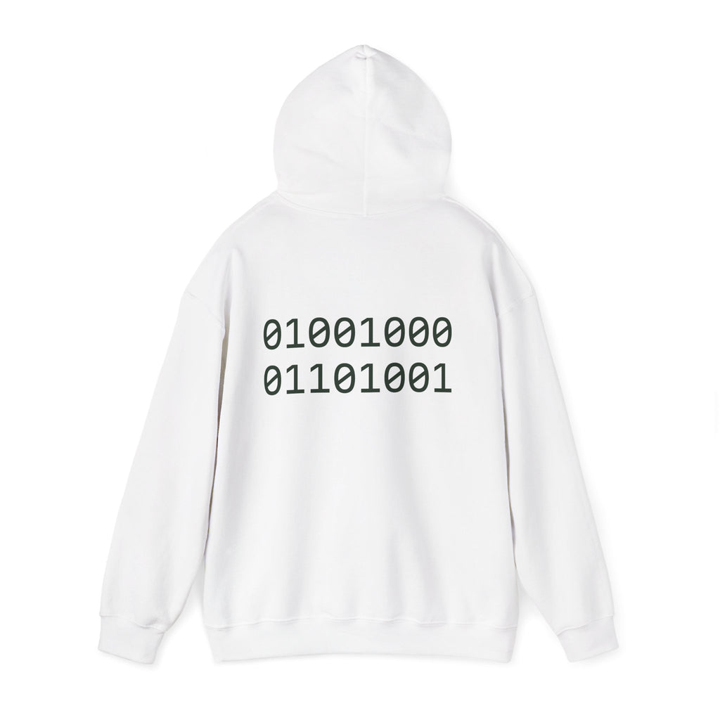Pixel T-Rex Hoodie | Dinosaur with Rainbow Sweater, Binary Code Back