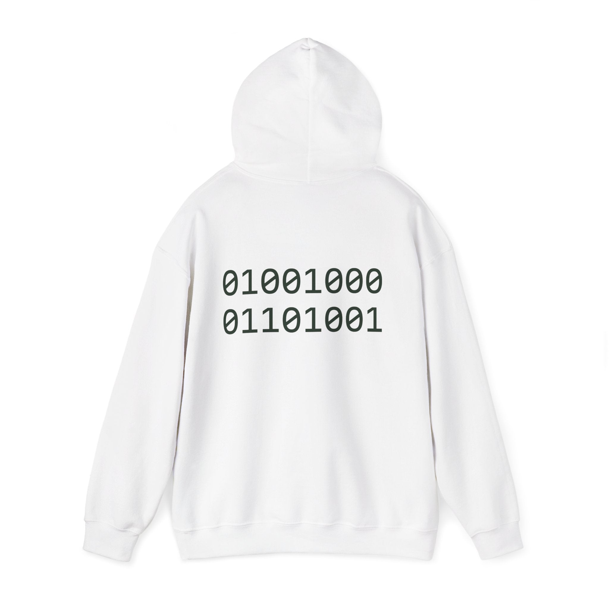 Pixel T-Rex Hoodie | Dinosaur with Rainbow Sweater, Binary Code Back