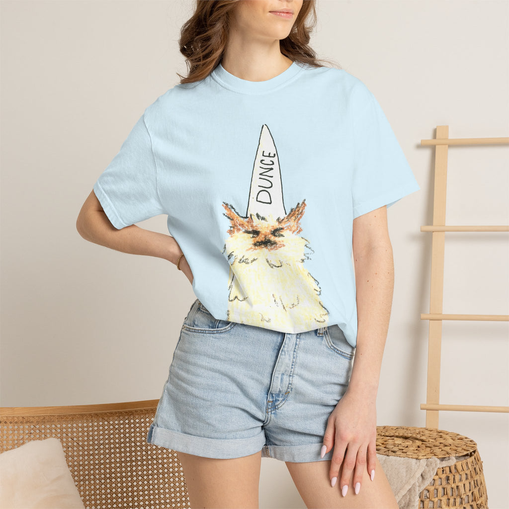 T-Shirt — Fluffy Cat Wearing 'Dunce' Cone Hat Illustrated Tee