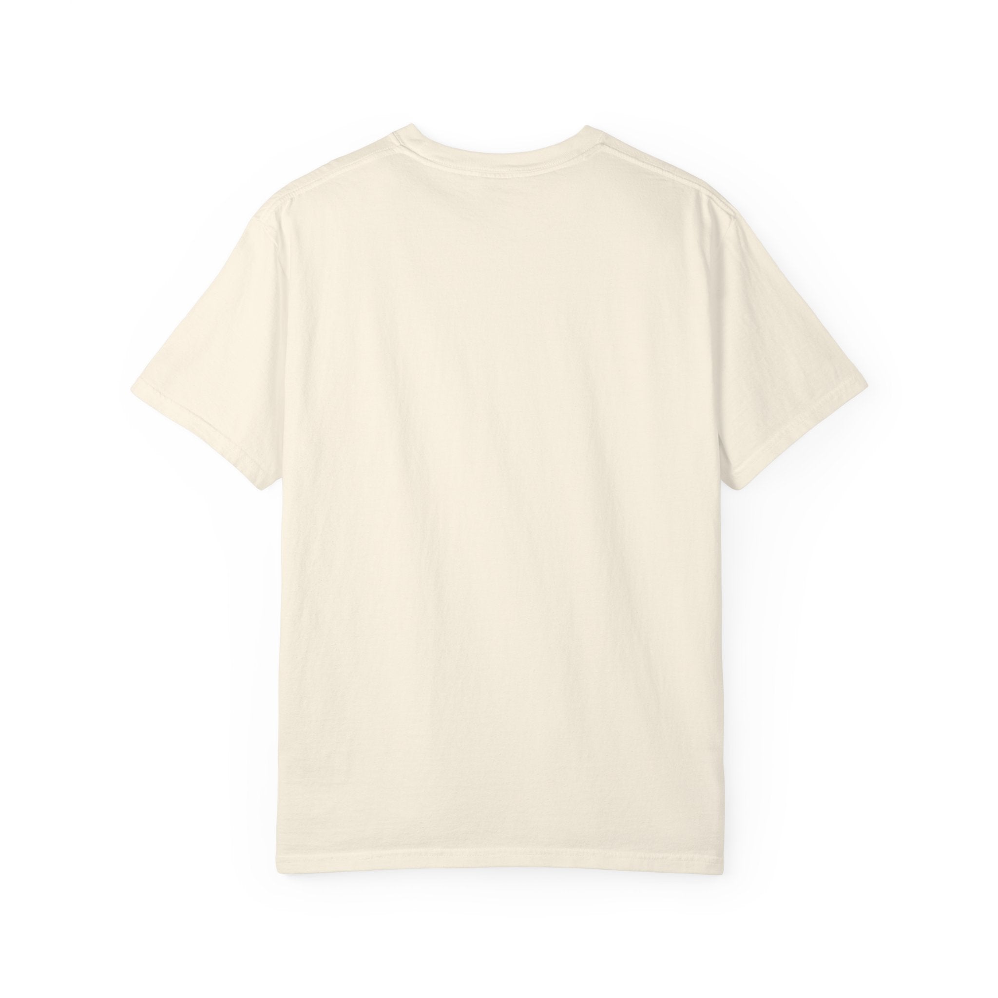 T-Shirt — Fluffy Cat Wearing 'Dunce' Cone Hat Illustrated Tee
