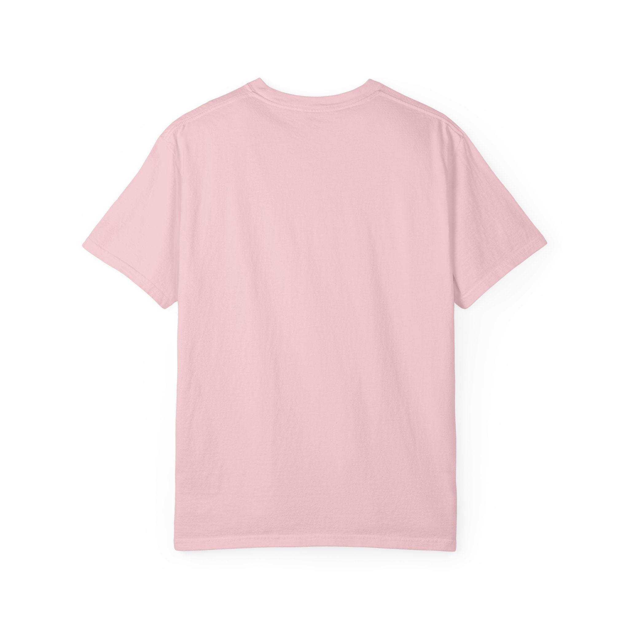 T-Shirt — Fluffy Cat Wearing 'Dunce' Cone Hat Illustrated Tee